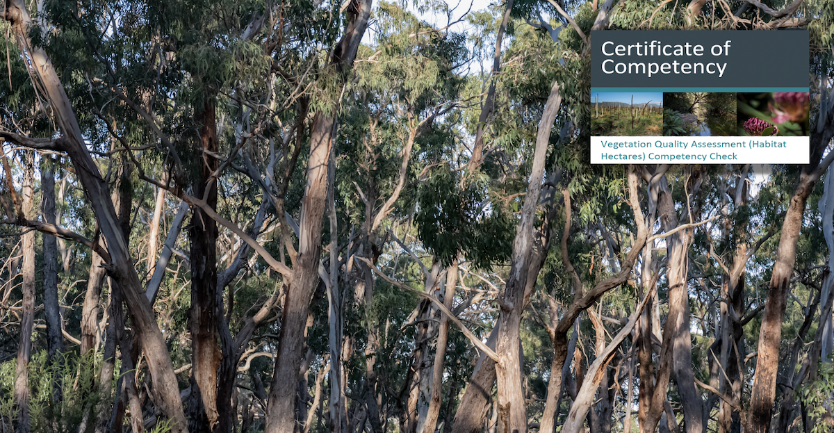 Native Vegetation assessments for tree removal