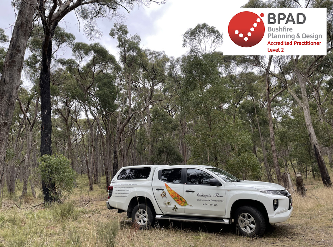 Bushfire Management Statement & BAL Ratings